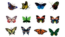 Butterfly Icon Set by Shawn10000